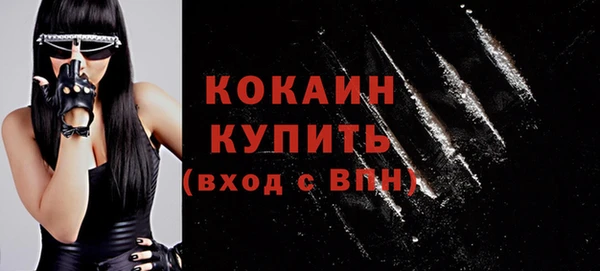 кокс Няндома