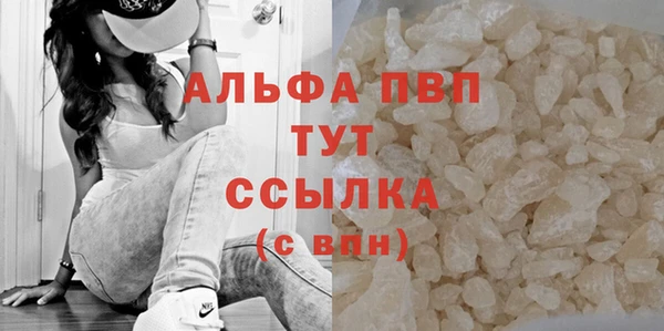 ALPHA PVP Новозыбков