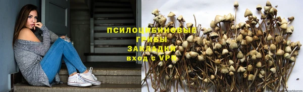 кокс Няндома