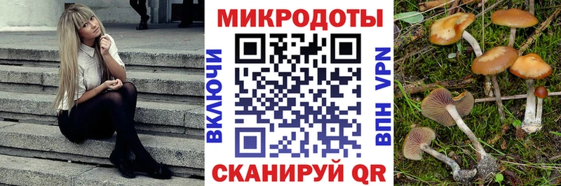 Псилоцибиновые грибы мухоморы Тосно