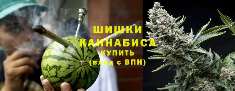 купить  цена  Тосно  Канабис Ganja 