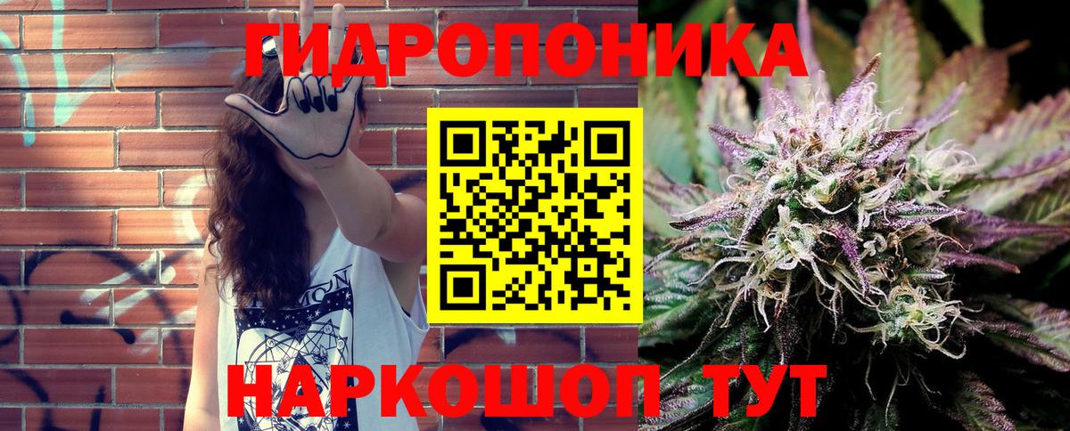 Конопля сатива  Вход с VPN  Тосно  Бошки марихуана план  МАРИХУАНА гибрид 